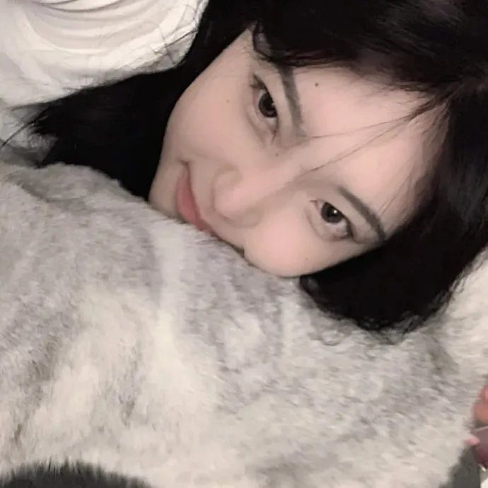 刺猬的优雅